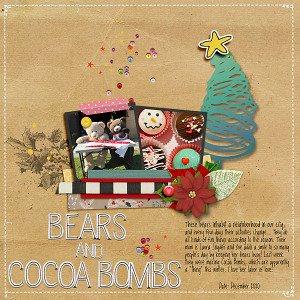 Bears-&-Cocoa-Bombs-web