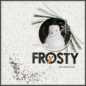 Frosty Ornament