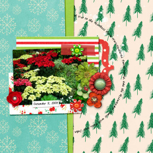 Little-Butterfly-Wings_2020-12_December_SOSN_1223_Xmas-Splendor_web