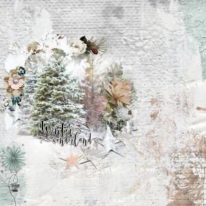 Winter Wonderland