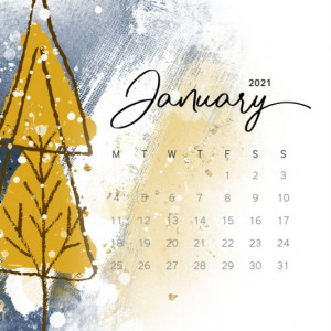 2021.01.00-January