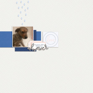 2020.01.26-Honey's-first-shower