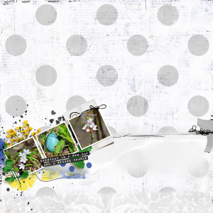 Signs
