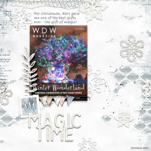 Magic Gift