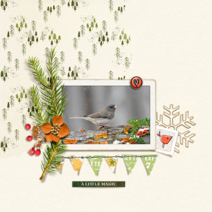 December 2020 Scraplift Challenge