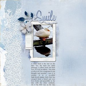 White-duck_MOC_9_Day_1