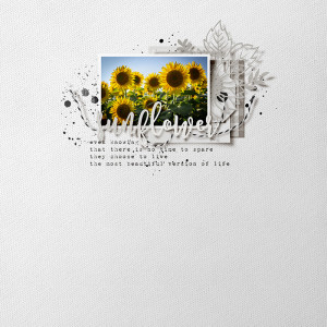 sunflower