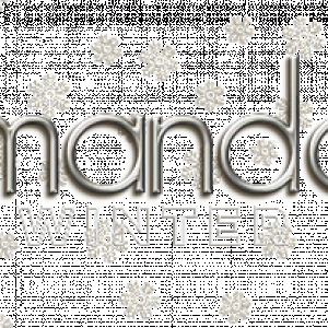 2021-Winter-Siggy