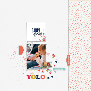 21-01_Soco_YOLO-copy
