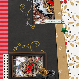 Scrapping-with-Liz_2021-01_January-MIS_web