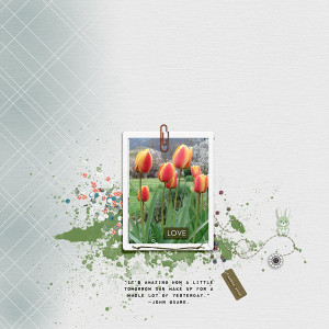 Tulipes