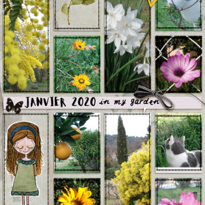 January2021 in my garden