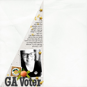 Georgia Voter