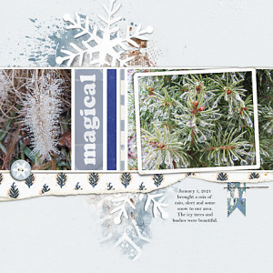 Icy-Magic_flowersgal_Jan6_2021_webjpg