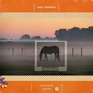 Misty Morning