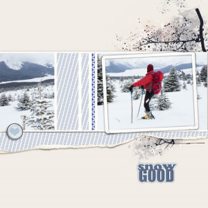 Snow Good