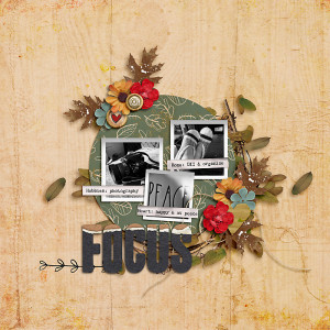 Jan 6-Torn Title