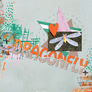January 6_Torn Title_dragonfly