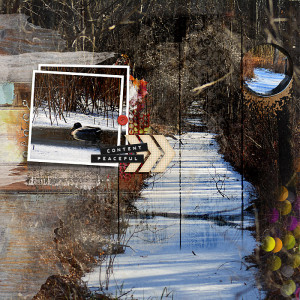 Surroundings