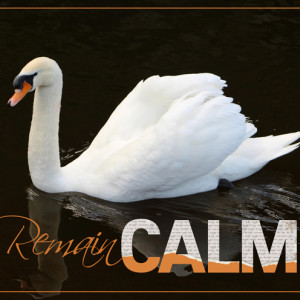 Jan-6-Torn-Title--Remain-Calm