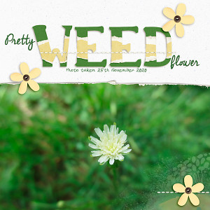 MOC 6 - Torn Title - Pretty Weed Flower
