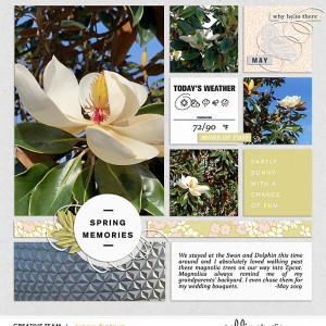 Magnolias At Epcot