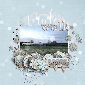 Winter Walk - MOC Nine - Jan 9 - Bokeh Effect