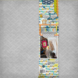 MOC9-5-mirror,mirror
