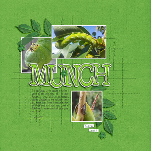 08: Munch
