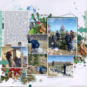 Day 9 - Getting Our Tree 2020