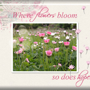 Jan-9-Bokeh-Effect--ATC-2021-004-Where-Flowers-Bloom