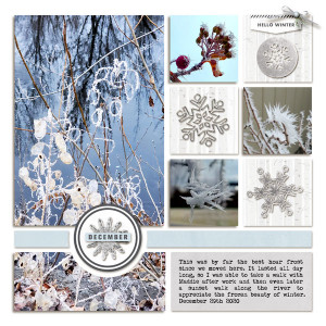 Hoar-Frost