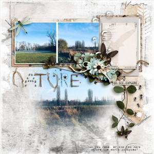 Nature - MOC Nine - Jan 10 - Title With No Letters