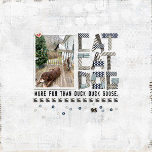 Cat Cat Dog
