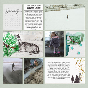 January 7 - Project Pages