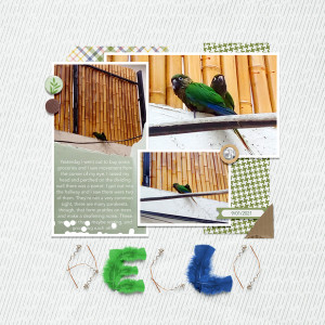MOC-9-January-10-Title-With-No-Letters