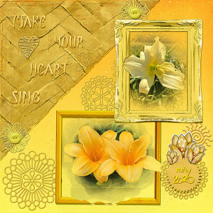 MOC9-Day8-OneColor-MyDaylilies520-WEB