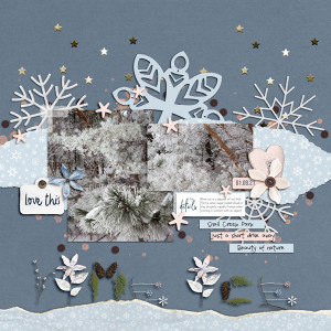 Rime_Ice_MOC10