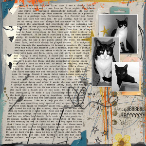 our cats