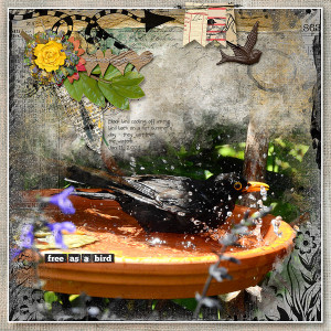 FREE AS A BIRD