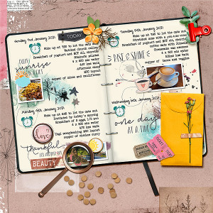 Art Diary