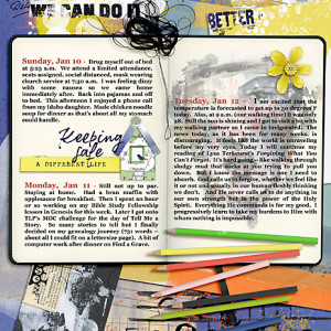 Day-12_Art-JournalingDiary_flowersgal_web
