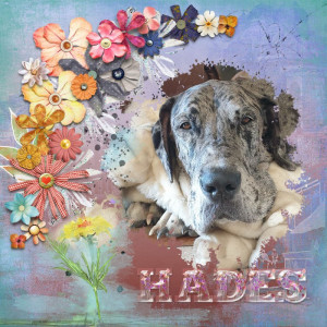 Hades_flowers
