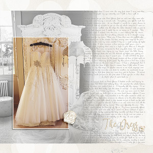 The Dress