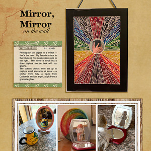 Day-13_In-a-Mirror_flowersgal_web