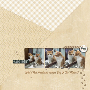 MOC 9-13 Who's That Handsome Ginger Boy In The Mirror?