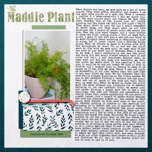 The-Maddie-Plant
