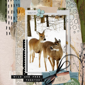 NBK-Design_2021-01_January_NEW_0115_2021-Keep-On-Dreaming_web