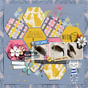 Jan14-SpeedScrap-copy