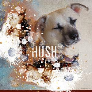 Lgrieveson_hush